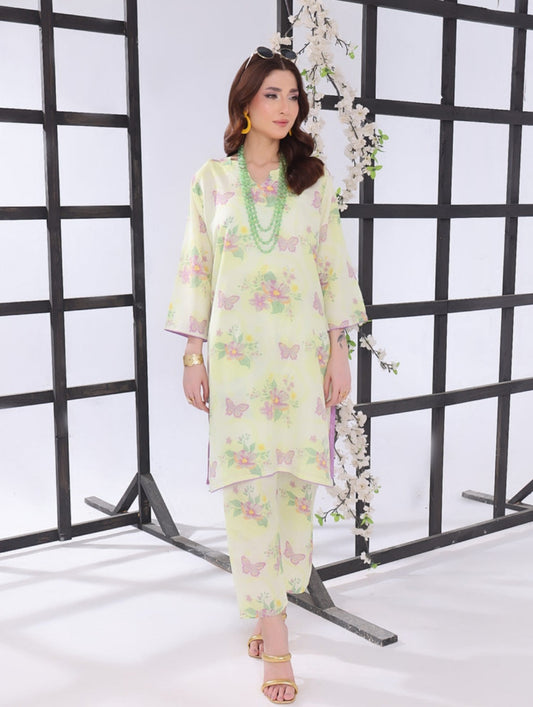 Asian suit Pakistani 2pc dress suit co ord set