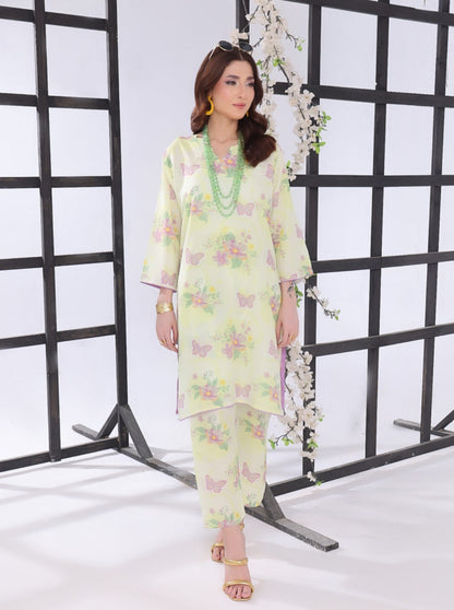 Asian suit Pakistani 2pc dress suit co ord set